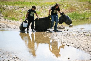 bacau6 bacau6