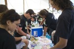 Organizatorii au făcut aproape 1,200 de sandwichuri
