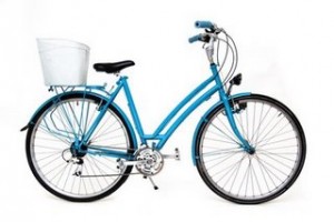 bicla4 bicla4