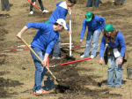 Voluntari Iasi MaiMultVerde