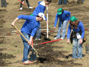 Voluntari Iasi MaiMultVerde