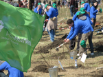 Voluntari Iasi MaiMultVerde