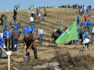 Voluntari Iasi MaiMultVerde