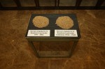 Hectare împădurite în România în 13 ani de tranziţie (stânga); hectare împădurite în România în 2 ani de război (dreapta)