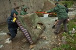 voluntarii MaiMultVerde scot un pat din râul spumoasa