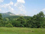 În sfârşit, nişte culori mai vii