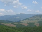 Pe drum, m-au petrecut sunetul drujbelor