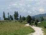 leresti3_5