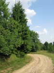 leresti3_8