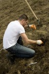 La muncă, nu la-ntins mâna