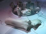 Oasele recuperate de la un abator pot fi folosite pentru a absorbi metalele grele din bateriile uzate