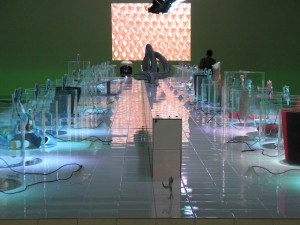 IMG_4252 IMG_4252
