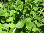 IMG_4712 IMG_4712