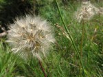IMG_4717 IMG_4717