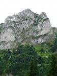 Cuşma Gurganului