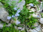 IMG_4748 IMG_4748