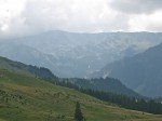 IMG_4910 IMG_4910
