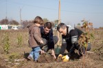 Zoli Toth_Dragos Bucurenci_Voluntar de profesie_plantare_Foto Vlad Basca Zoli Toth_Dragos Bucurenci_Voluntar de profesie_plantare_Foto Vlad Basca