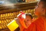 IMG_7210 IMG_7210