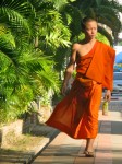 IMG_7237 IMG_7237