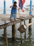 IMG_8598 IMG_8598