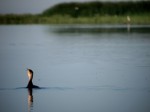 Sf. Gheorghe July 2011