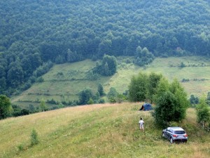 Muntii Trascaului (Apuseni) Fâneața din Brădești
