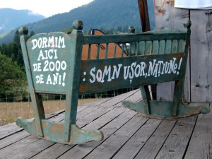 PaÌdurea PedagogicaÌTaÌșulesa Social De ce există Tășuleasa Social