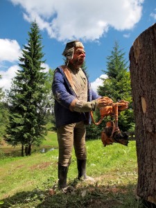 PaÌdurea PedagogicaÌTaÌșulesa Social Tăietorul ilegal de lemne, principalul dăunător al pădurii