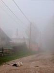Muntii Trascaului (Apuseni)