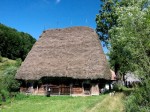 Mocănesele sunt mereu mai ocupate decât bărbații lor