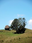 Muntii Trascaului (Apuseni)